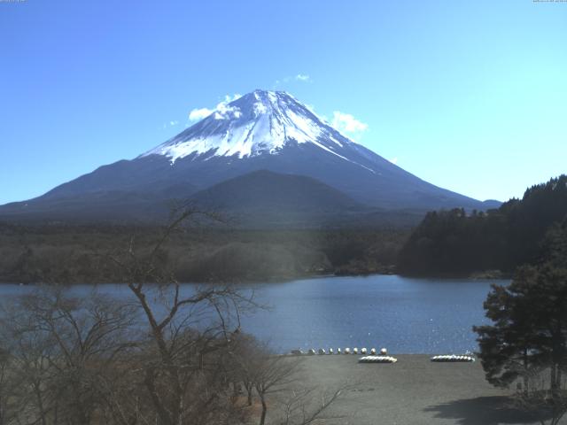 精進湖からの富士山