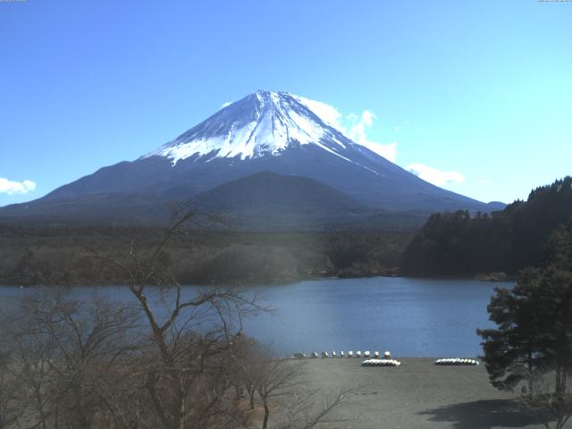 精進湖からの富士山