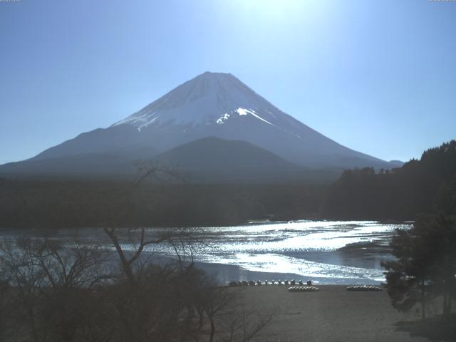 精進湖からの富士山