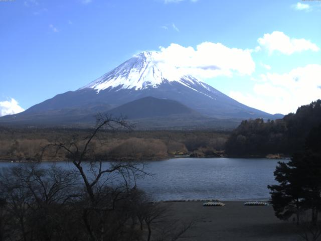 精進湖からの富士山