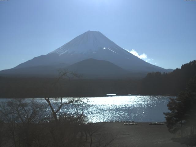 精進湖からの富士山