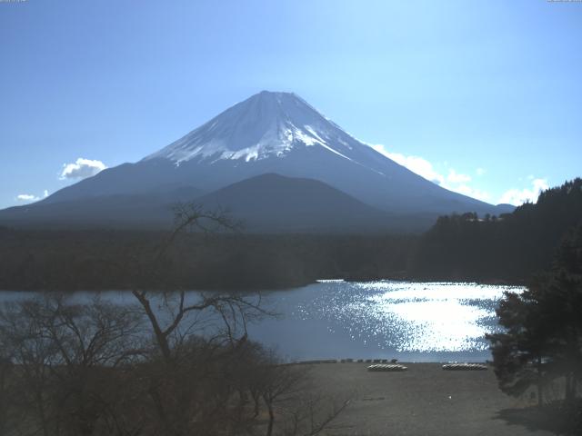 精進湖からの富士山