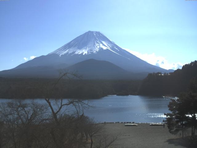 精進湖からの富士山