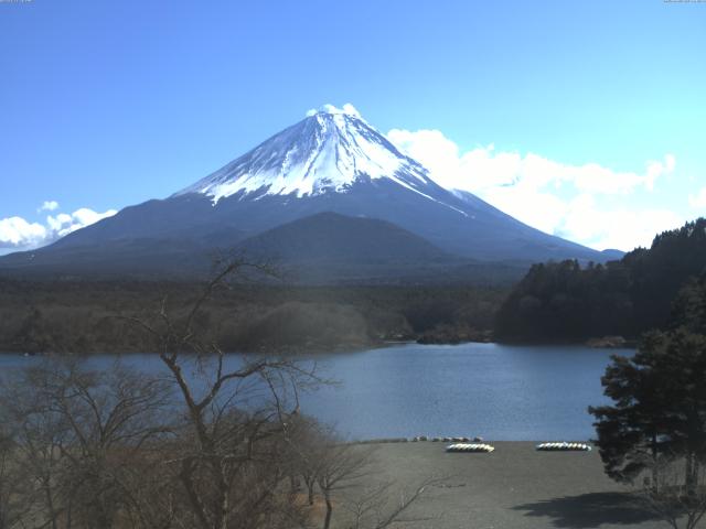 精進湖からの富士山