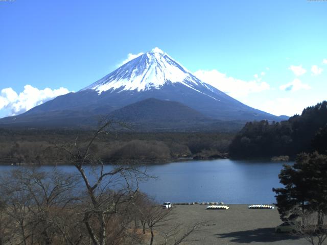 精進湖からの富士山