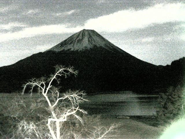 精進湖からの富士山