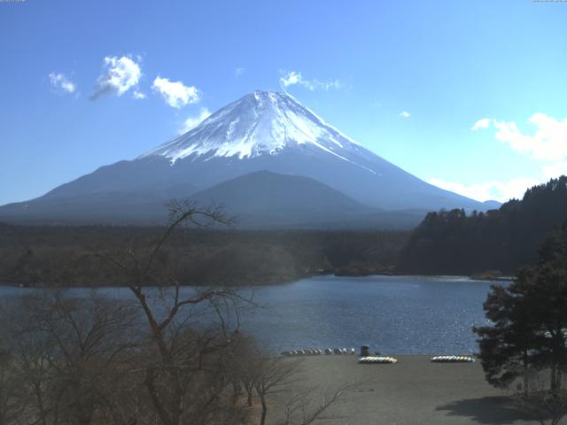 精進湖からの富士山