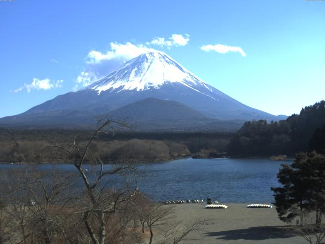 精進湖からの富士山