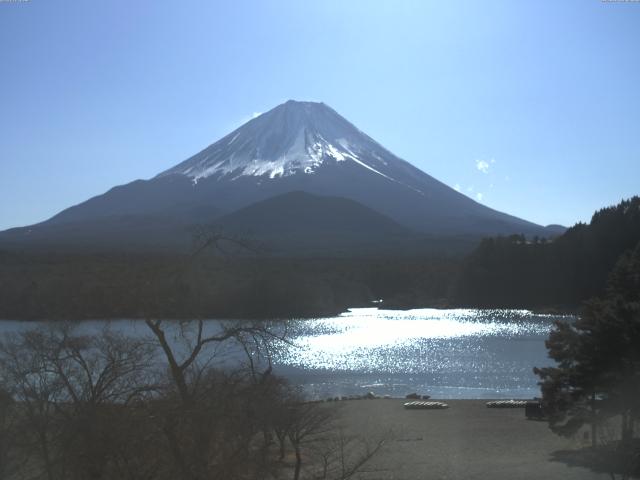 精進湖からの富士山