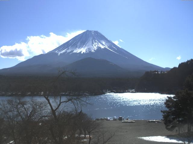 精進湖からの富士山