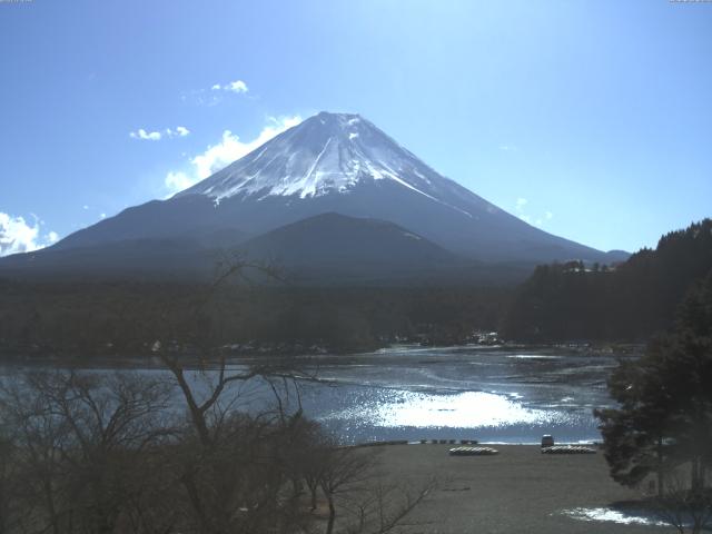 精進湖からの富士山