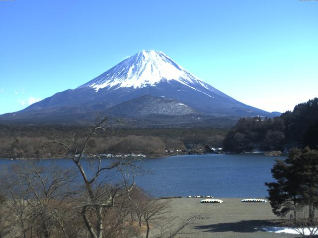 精進湖からの富士山