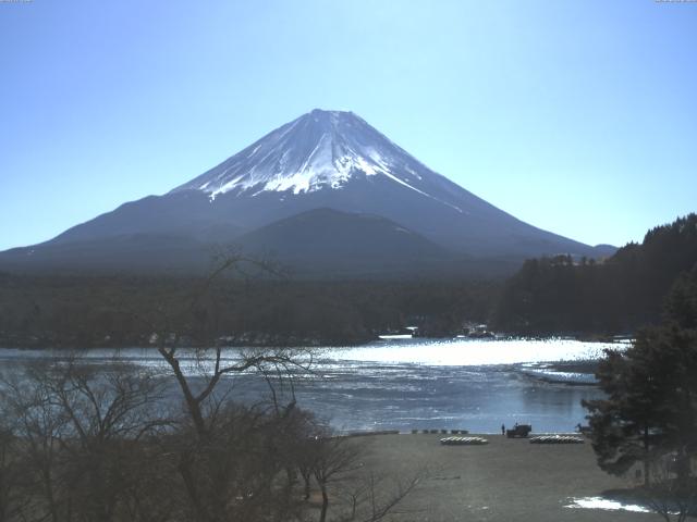 精進湖からの富士山