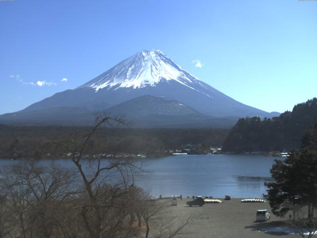 精進湖からの富士山