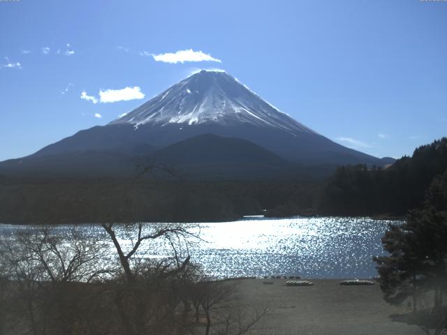 精進湖からの富士山