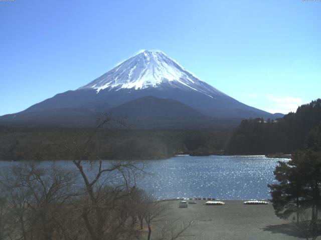 精進湖からの富士山