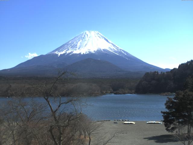 精進湖からの富士山