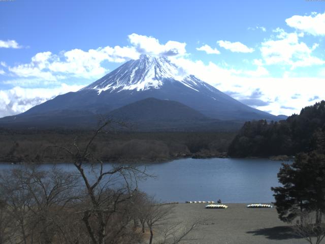 精進湖からの富士山