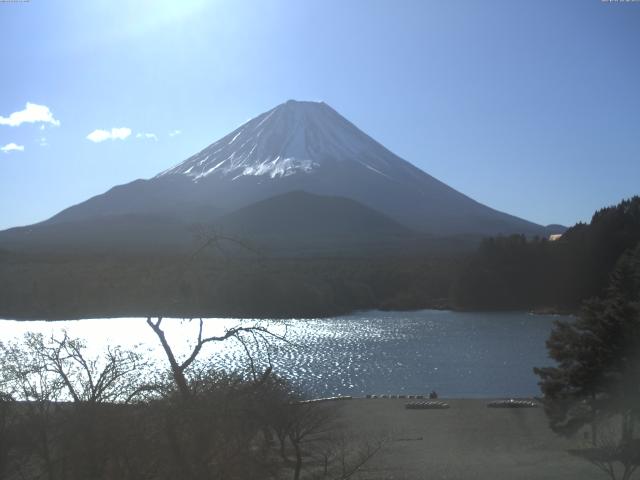 精進湖からの富士山