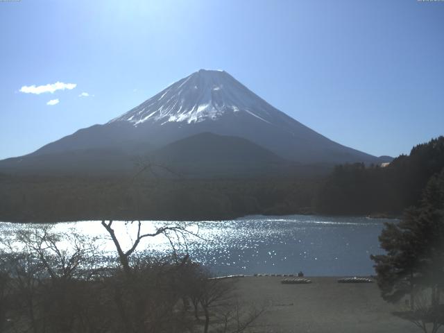 精進湖からの富士山