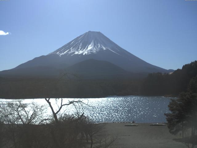 精進湖からの富士山