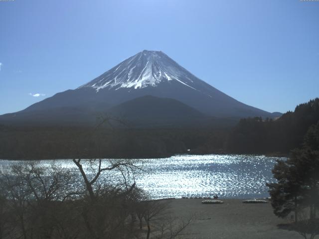 精進湖からの富士山