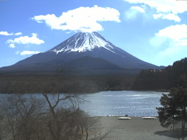 精進湖からの富士山