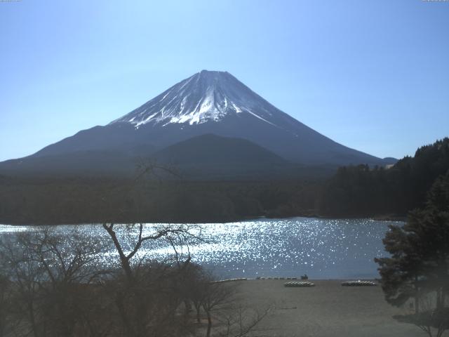 精進湖からの富士山