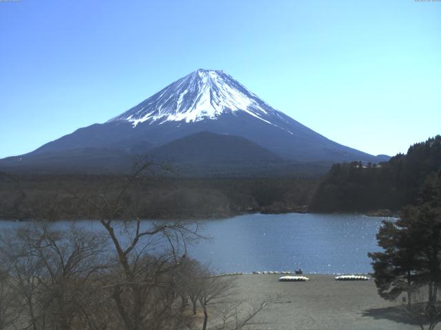 精進湖からの富士山