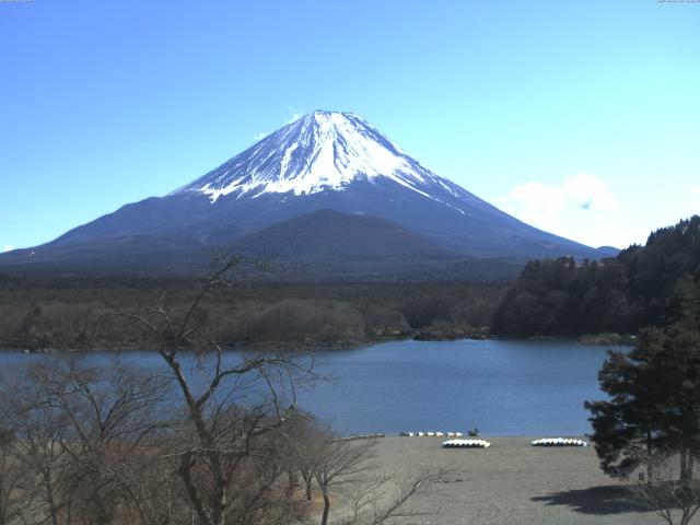 精進湖からの富士山