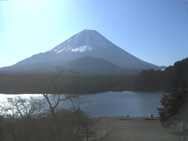 精進湖からの富士山