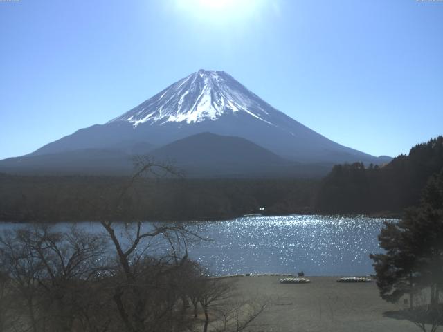 精進湖からの富士山