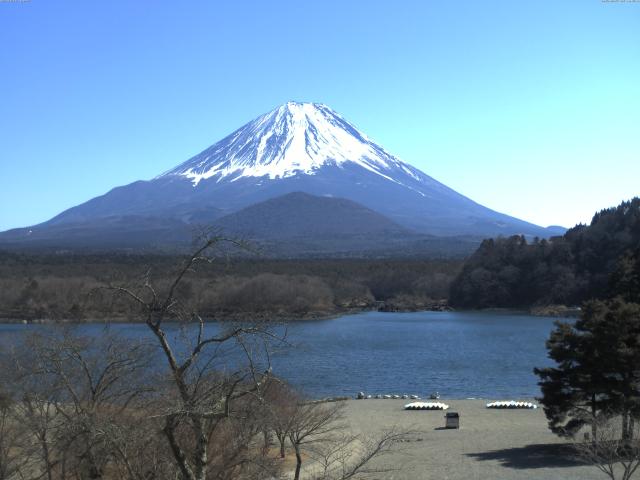 精進湖からの富士山