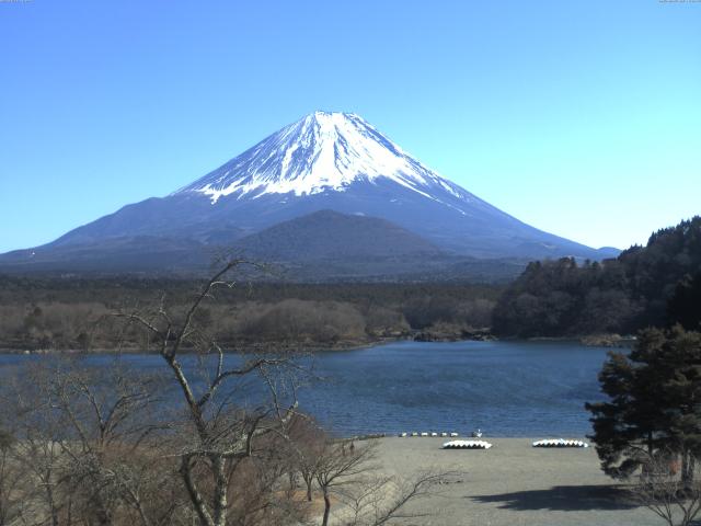 精進湖からの富士山