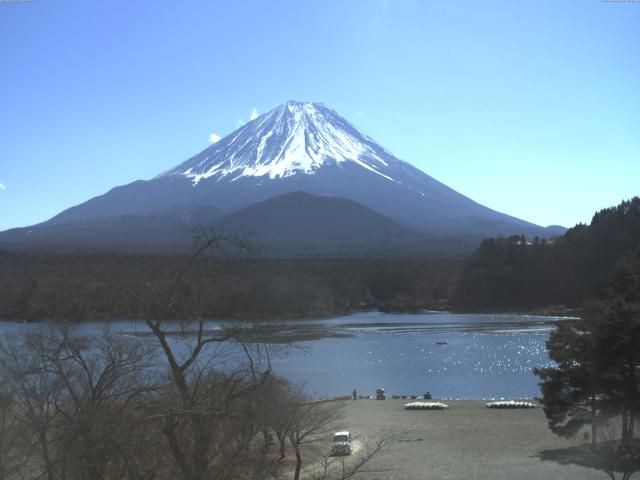 精進湖からの富士山