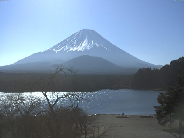 精進湖からの富士山