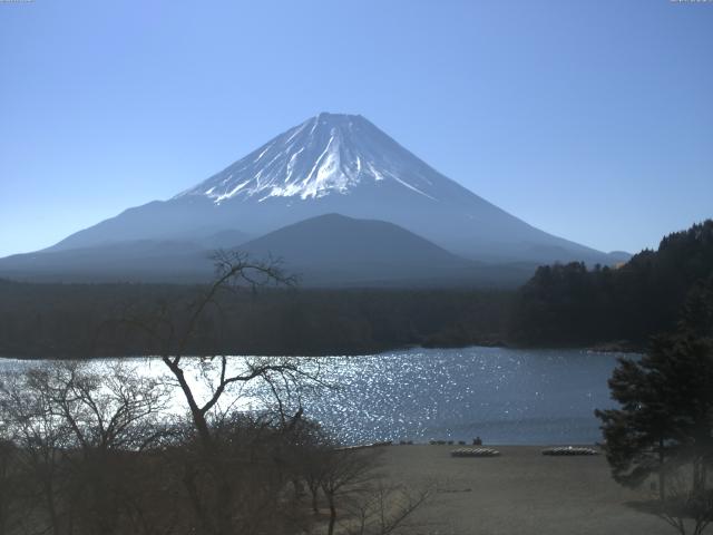 精進湖からの富士山