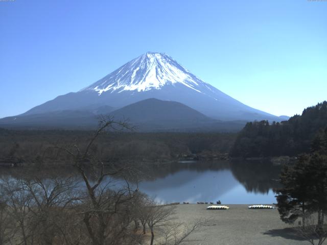 精進湖からの富士山