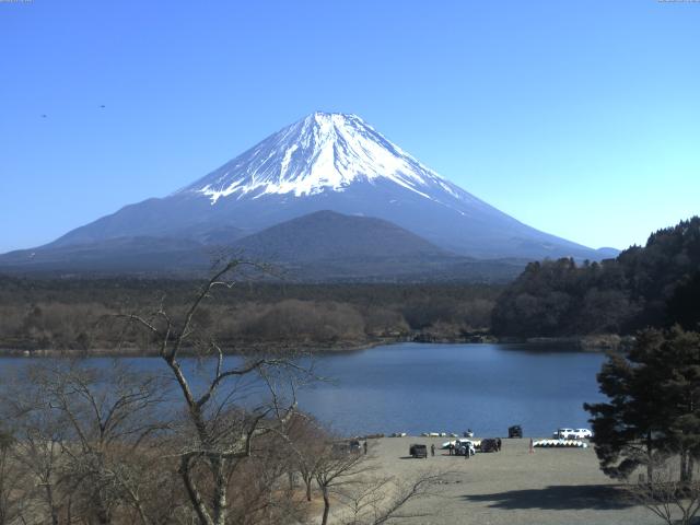 精進湖からの富士山