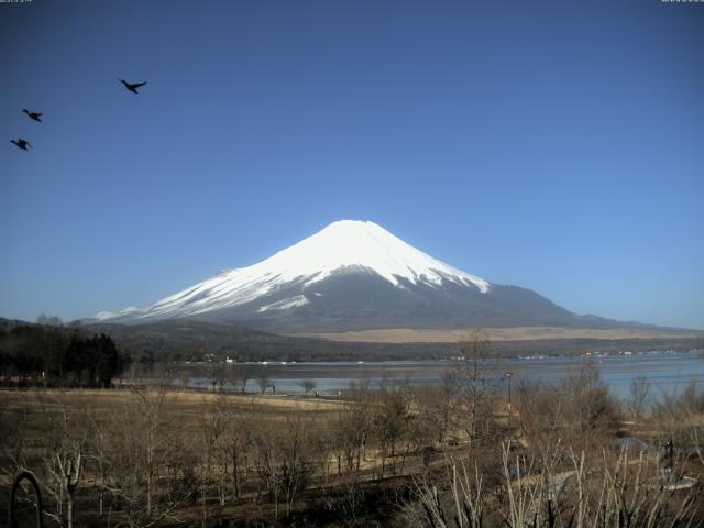 山中湖からの富士山