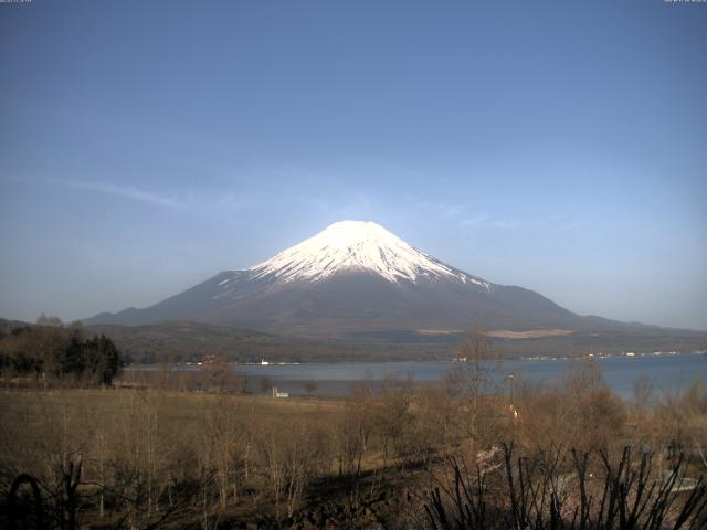 山中湖からの富士山