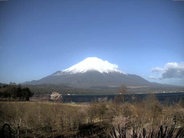 山中湖からの富士山