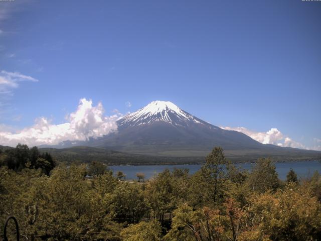 山中湖からの富士山