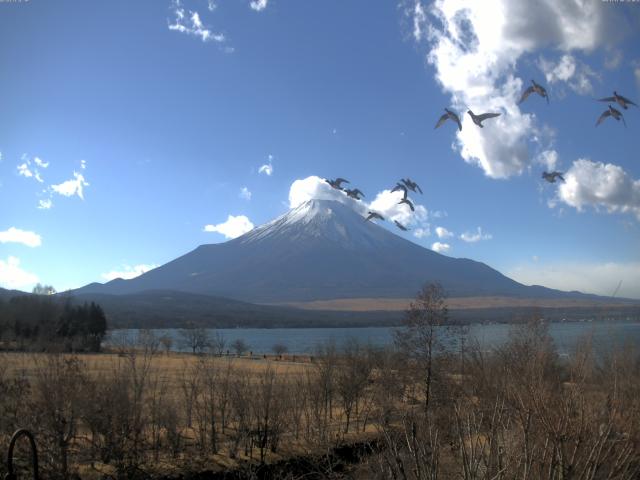 山中湖からの富士山