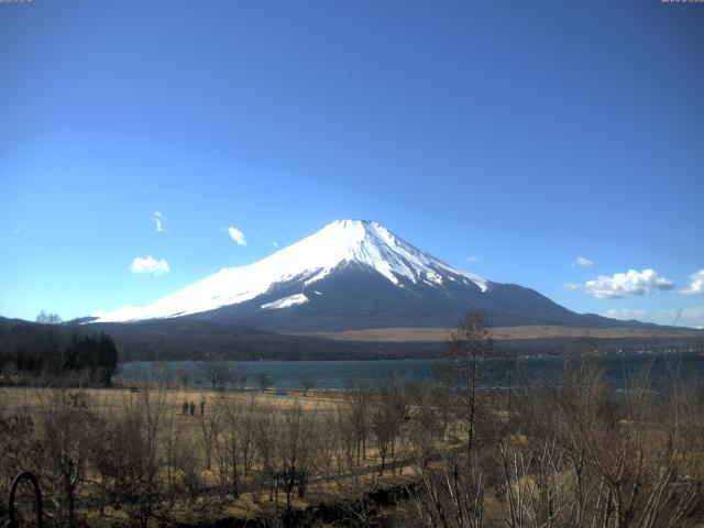 山中湖からの富士山