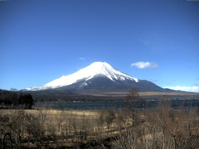 山中湖からの富士山