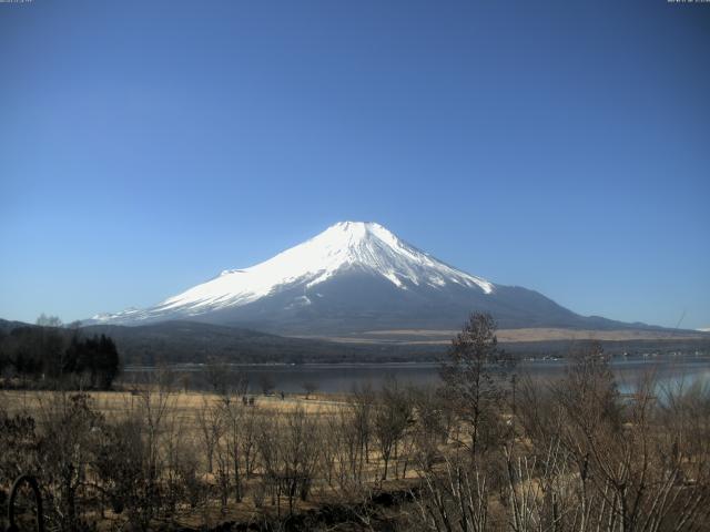 山中湖からの富士山