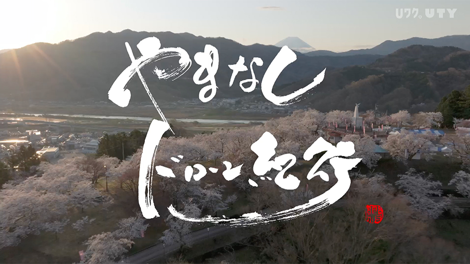 やまなしドローン紀行 #118　山梨の桜 Vol.1