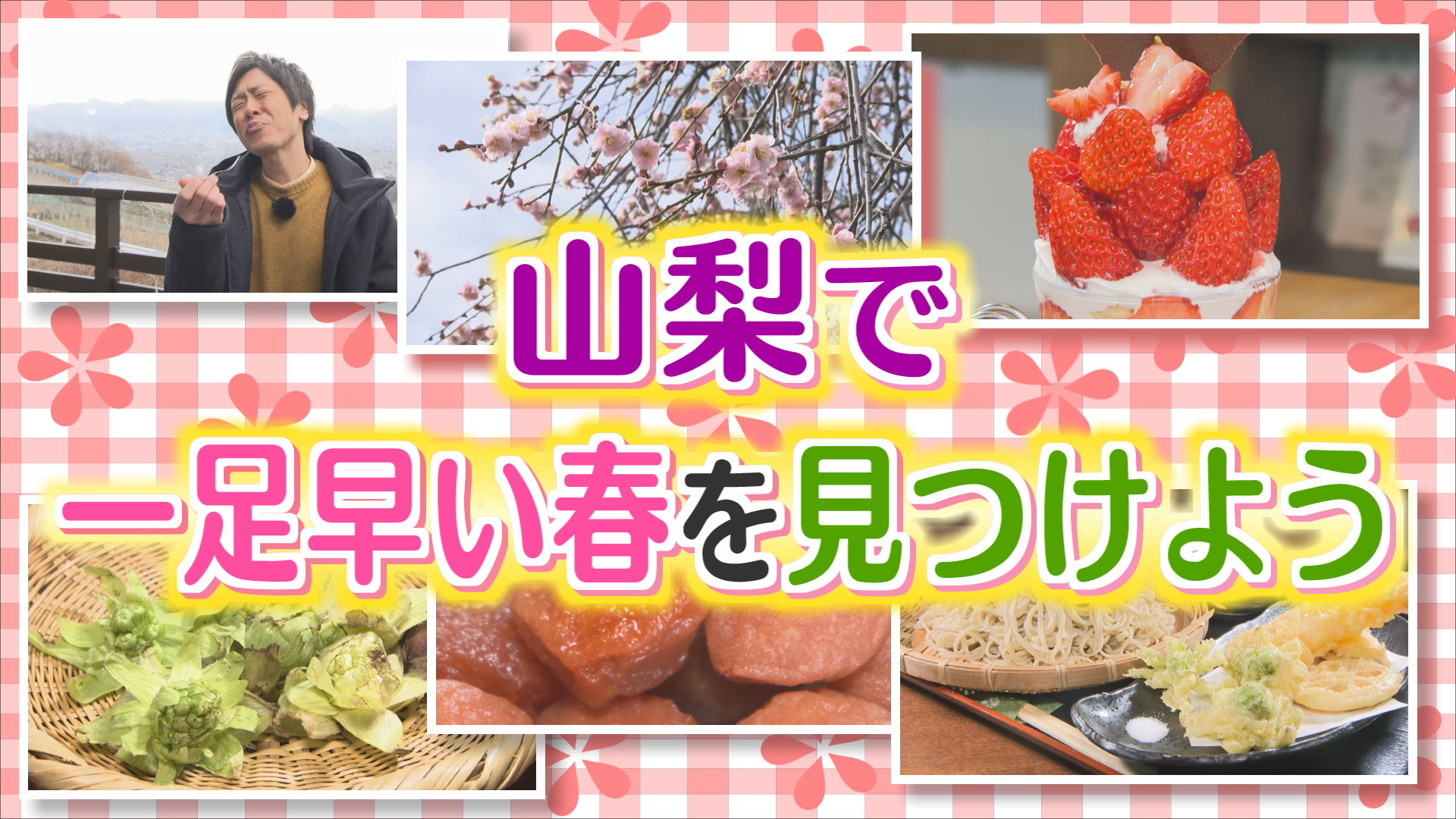 火曜特集 山梨で一足早い春を見つけよう!