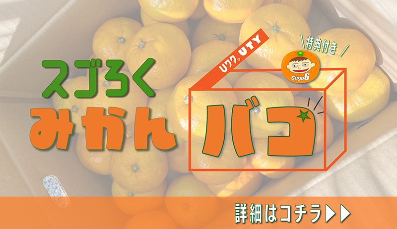 みかんバコ【開発事業部】